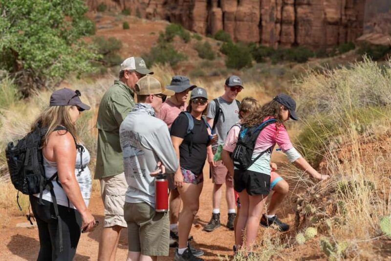 Moab Half Day Jeep Tour - Key Points