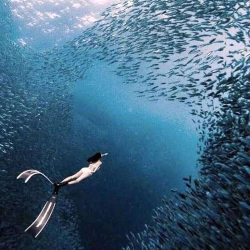 Moalboal: Island Hopping and Mantayupan Falls Day Trip - Transition to Mantayupan Falls