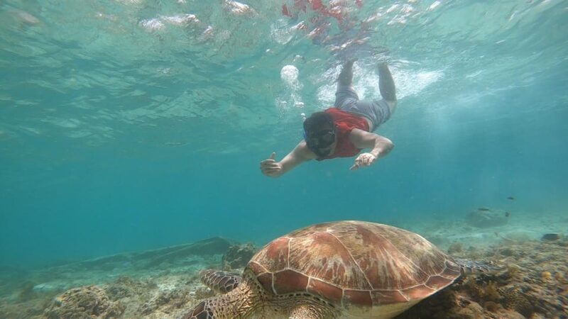 Moalboal: Island Hopping and Mantayupan Falls Day Trip - What’s Included and What’s Not