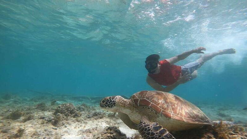 Moalboal: Island Hopping and Mantayupan Falls Day Trip - Timing and Logistics
