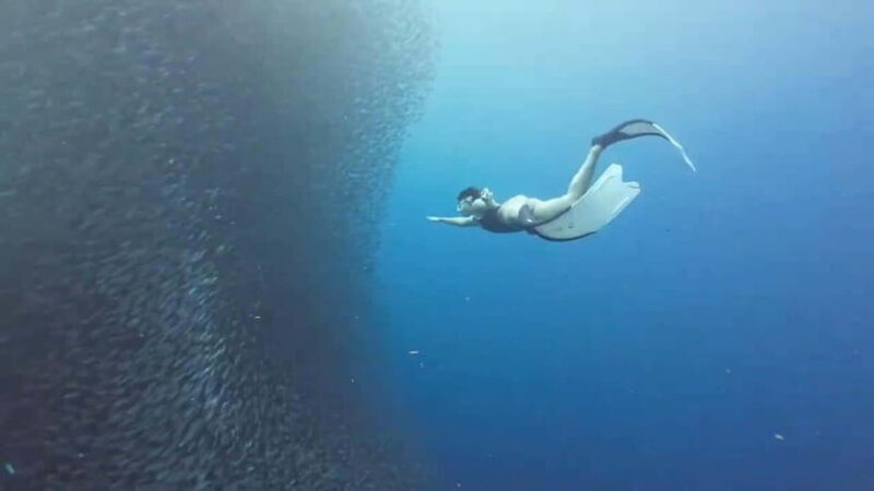 Moalboal: Pescador Island & Mantayupan Falls Adventure! - An In-Depth Look at the Tour