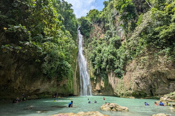 Moalboal Sardine Run, Sea Turtle and Mantayupan Falls - An In-Depth Look at the Tour Experience