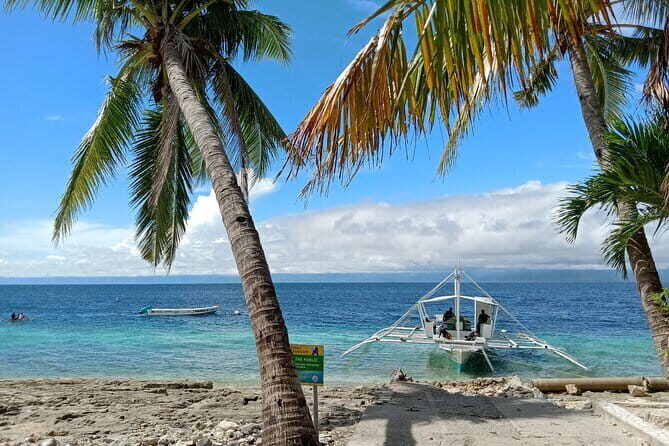 Moalboal Sardine Run, Sea Turtle and Mantayupan Falls - Who Should Consider This Tour
