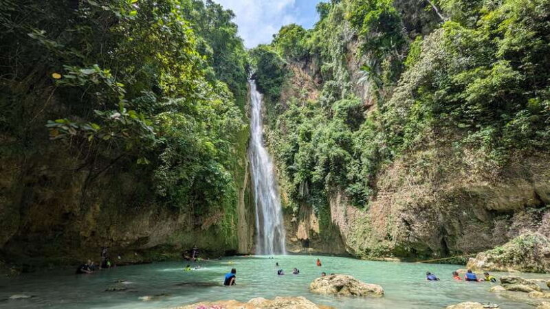 Moalboal Sardine Run, Sea Turtle & Mantayupan Falls - An In-Depth Look at the Tour Experience