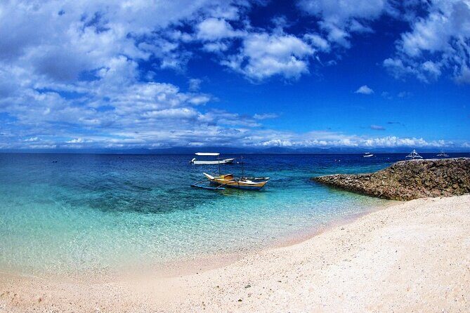 Moalboal Sardines Run Private Tour w/ Transfers Option - Who Should Consider This Tour?