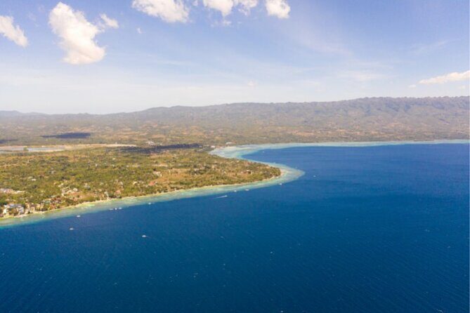 Moalboal Sardines Run Private Tour w/ Transfers Option - The Sum Up