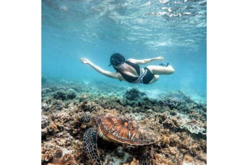 Moalboal : Scuba Diving Sardine Run and Turtle Chasing - Real Traveler Feedback