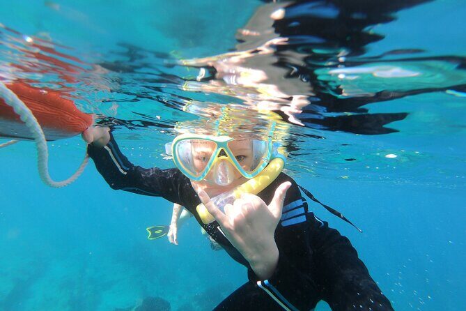Mobula Ray and Ocean Safari Day Trip - An In-Depth Look at the Mobula Ray and Ocean Safari