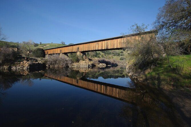 Modesto Almond Blossom Tour: Explore & Discover - Audio Tour - What Travelers Say
