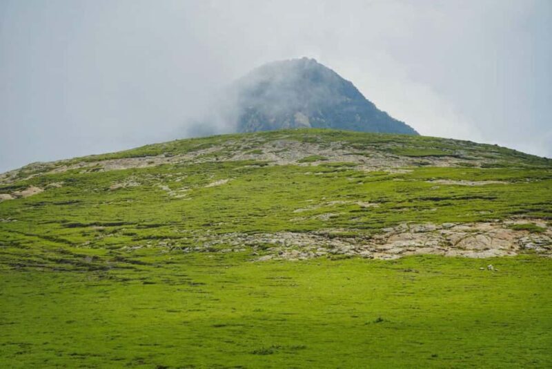 Mogle Mountain Hiking For Birding, Natures From Addis Ababa - Why This Tour Is a Great Choice