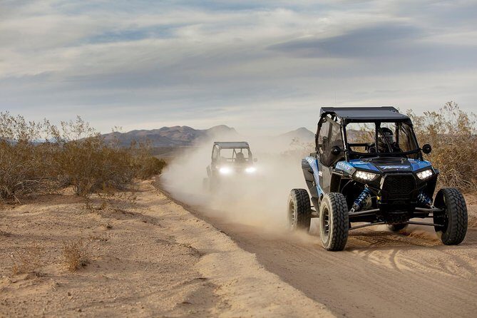 Mojave Desert Off Road RZR Tour in Las Vegas - An Authentic Mojave Adventure