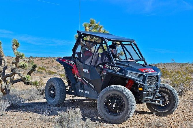 Mojave Desert Off Road RZR Tour in Las Vegas - Authenticity and Real-World Experience