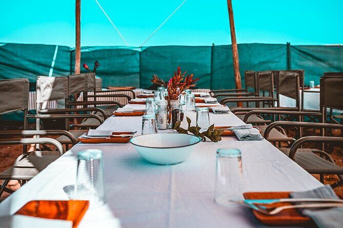 Mola Mola Day with Beach Braai Lunch - Who Will Love This Tour?