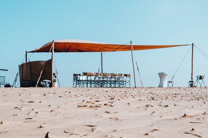 Mola Mola Marine Dolphin Cruise & Beach Braai on Pelican Point - Practical Tips for Travelers