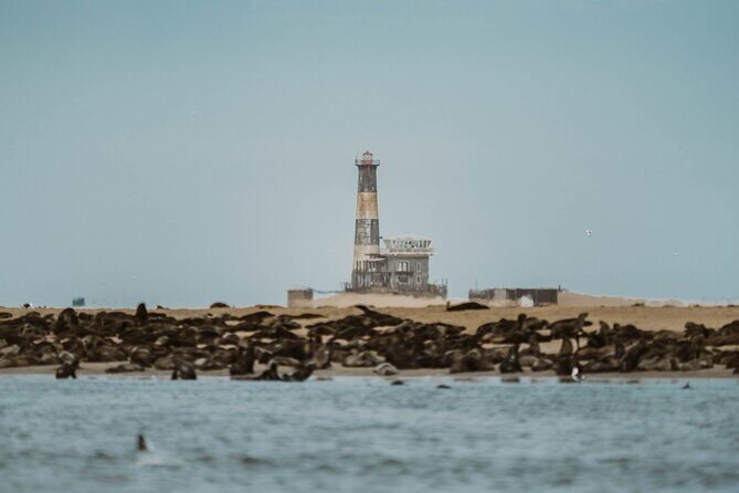 Mola Mola Marine Dolphin Cruise & Beach Braai on Pelican Point - Final Thoughts