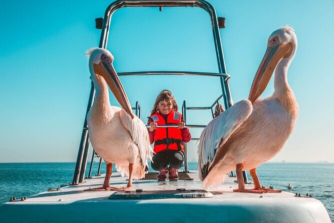 Mola Mola Marine Dolphin Cruise from the Walvis Bay Waterfront to Pelican Point - The Breakdown of the Itinerary