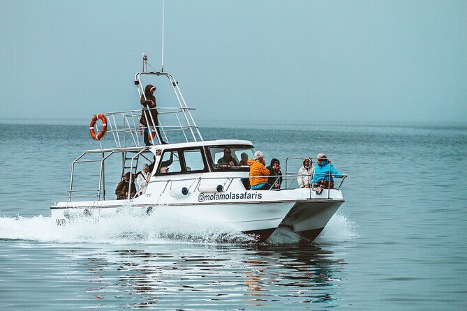Mola Mola Marine Dolphin Cruise from the Walvis Bay Waterfront to Pelican Point - The Sum Up