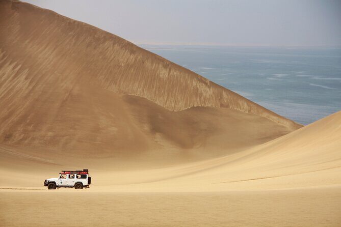 Mola Mola Marine Dune Experience - Who Should Consider This Tour?