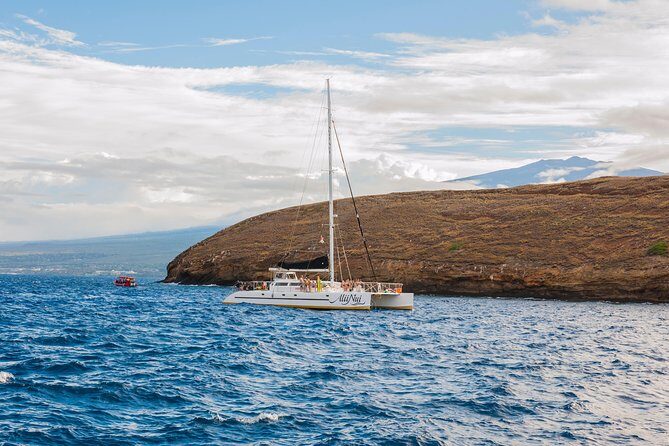 Molokini and Turtle Arches Snorkeling Trip from Ma'alaea Harbor - Practicalities: What You Need to Know