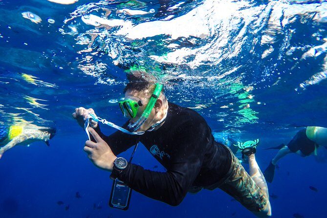 Molokini and Turtle Arches Snorkeling Trip from Ma'alaea Harbor - Authentic Experiences from Travelers