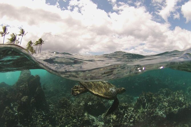 Molokini Crater and South Maui Coast Adventure from Kihei - The Itinerary: A Closer Look at Each Stop