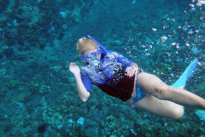 Molokini Crater Snorkeling Adventure - The Real Value: What You’re Getting For $196.88