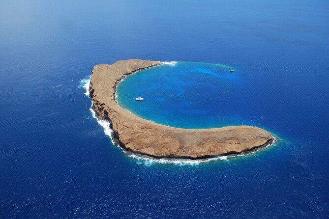 Molokini Crater Zodiac Adventure: Snorkel and Turtle Cove Swim - Key Points
