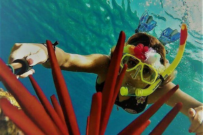 Molokini Crater Zodiac Adventure: Snorkel and Turtle Cove Swim - An Honest Look at the Experience