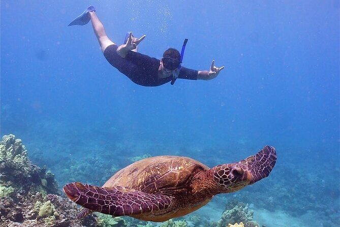Molokini or Coral Gardens PM Snorkel Aboard Malolo - Authentic Reviews: What Travelers Say