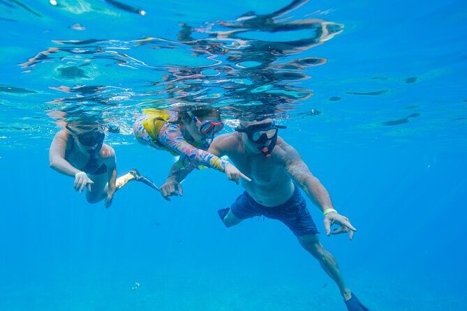 Molokini Snorkel Trip 2-Hour From Kihei - Final Words