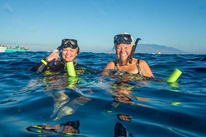 Molokini & Turtle Adventure: Small Group from Ma'alaea Harbor - Key Points
