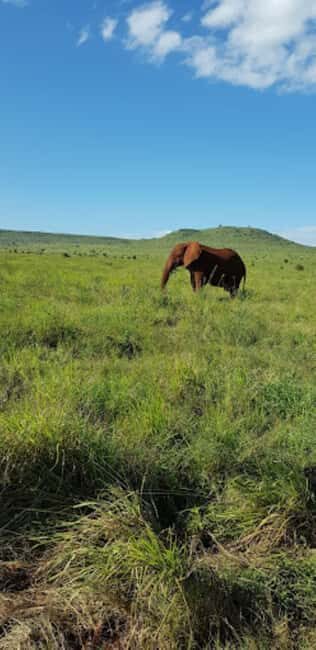 Mombasa: 2-Day Safari to Taita Hills Game Sanctuary - Additional Tips and Considerations