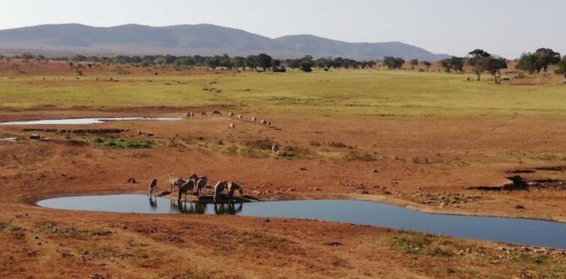 Mombasa: 2-Day Safari to Taita Hills Game Sanctuary - FAQ