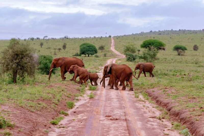 Mombasa: 2-Day Safari to Taita Hills Game Sanctuary - Final Thoughts