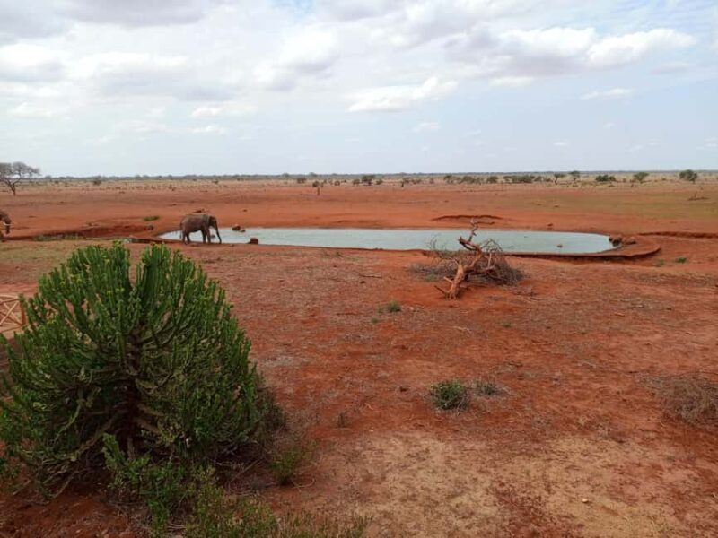 Mombasa: 3-Day Tsavo East and West Safari with Accommodation - Introduction: What This Safari Offers and Why It’s Worth Considering