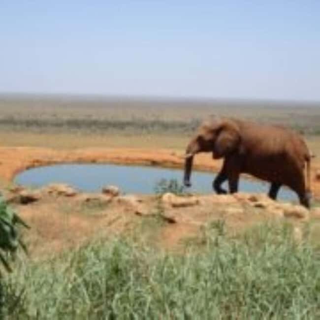 Mombasa: 3 Days, 2 nights Safari to Tsavo West from Mombasa - The Experience at a Glance