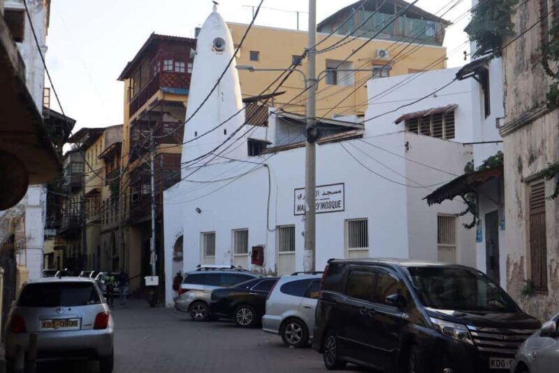 mombasa city tour full day - Introduction: What to Expect from the Mombasa Full Day Tour