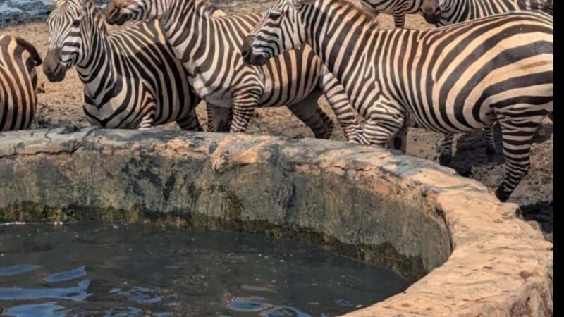 Mombasa/Diani: 2-Day Tsavo East National Park Safari - What Makes This Tour Worth Considering?