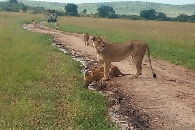 Mombasa & Diani: Group Day Trips to Tsavo Park - Cancellation Policy and Flexibility