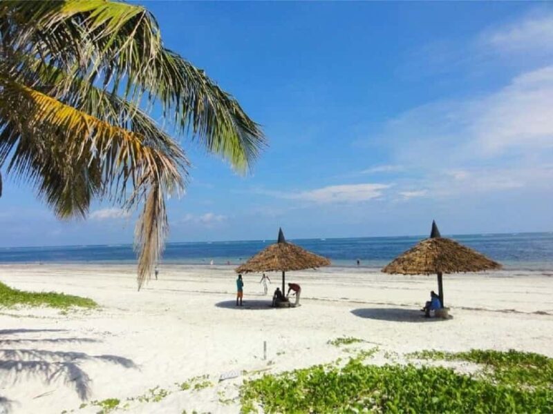 Mombasa: Fort Jesus, Old Town, and Haller Park Tour - Practical Details and What to Expect