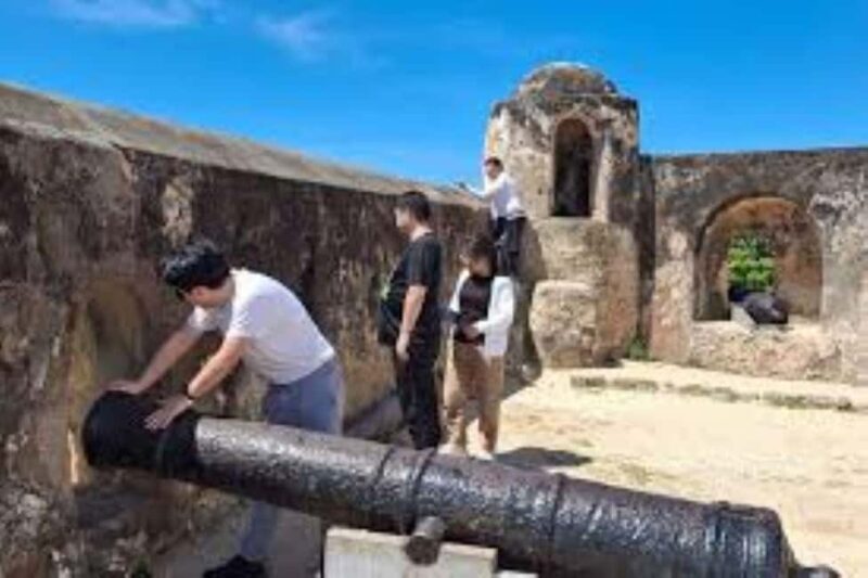 Mombasa highlights city Tour - The Sum Up