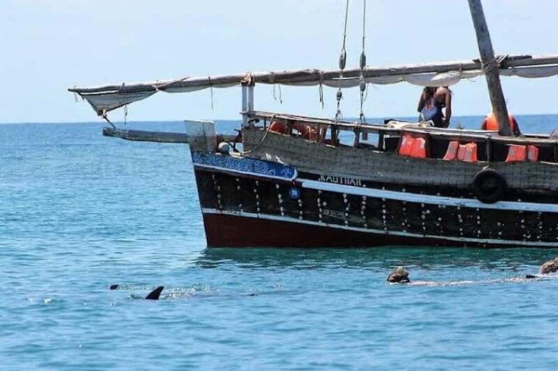 Mombasa: Snorkeling, Dolphin watching, seafood lunch. - A Detailed Look at the Tour Experience
