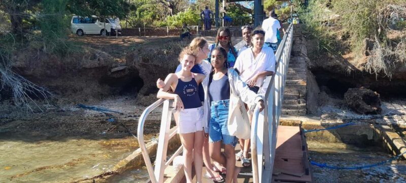 Mombasa: Snorkeling, Dolphin watching, seafood lunch. - Authentic Experiences and Authenticity