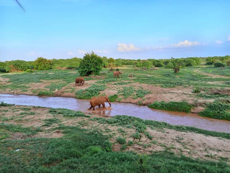 Mombasa: Tsavo East Ngutuni Sanctuary Overnight Safari - Transportation and Group Size