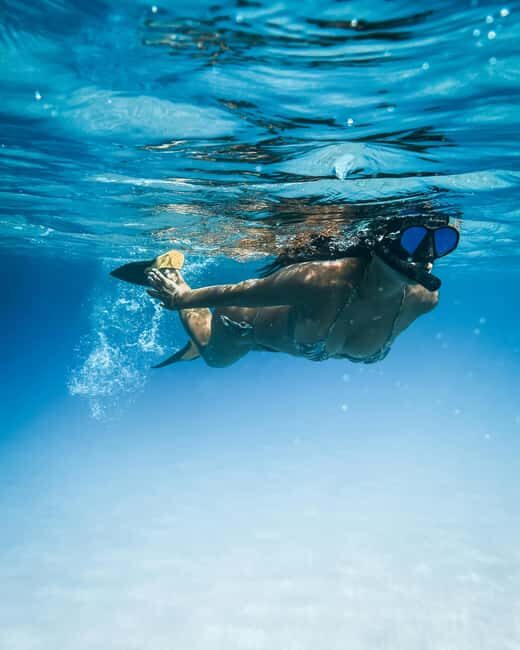 Mombasa: Wasini Dolphin Tour - FAQ