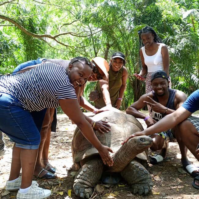 MOMBASA:FortJesus,OldCity,GiraffeOstrich,Oryx,Eland,WildTour - The Iconic Elephant Tusks