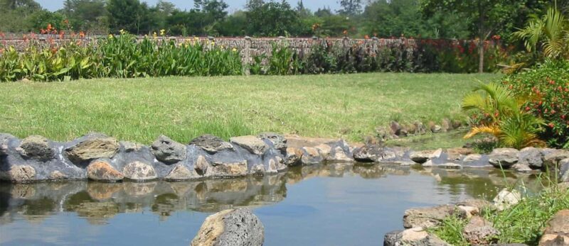 Mombasa:Private Guided City Tour - Mombasa: Private Guided City Tour — A Deep Dive into Kenya’s Coastal Gem