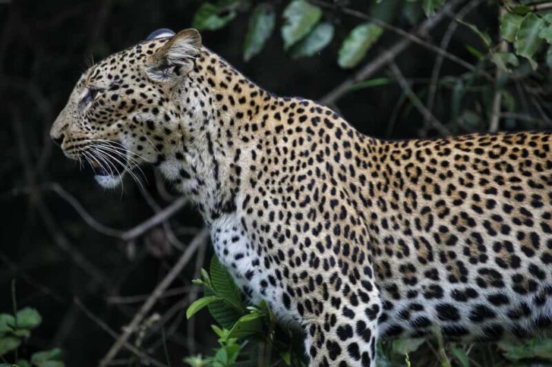 Mombasa:Private Guided City Tour - FAQs