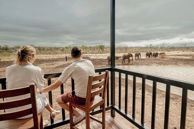 Moments with Elephants - Who Should Consider This Tour?
