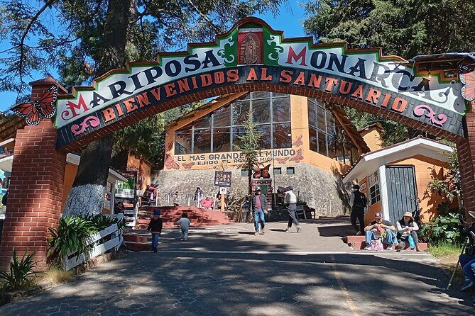 Monarch Butterflies El Rosario Preserve from Mexico City - FAQ